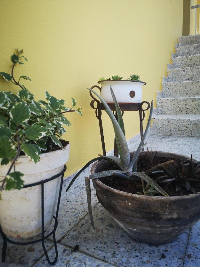 A Maquia Do Pousavedra Sober Exterior photo